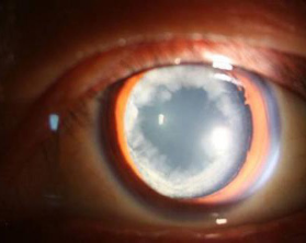 9I8DK3%HG0}(~QGJDEFM$V3.png 9I8DK3%HG0}(~QGJDEFM$V3.png