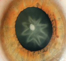 TR8FE2KTLQ~9J7X7J5UL8RQ.png TR8FE2KTLQ~9J7X7J5UL8RQ.png