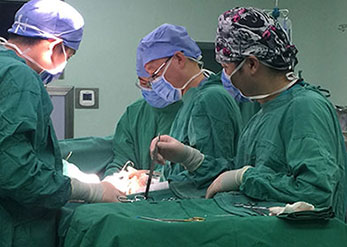 三等奖手术室强国无弱兵,强科无弱将.jpg 三等奖手术室强国无弱兵,强科无弱将.jpg