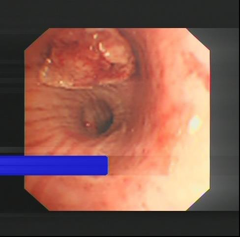 图片4.jpg 图片4.jpg