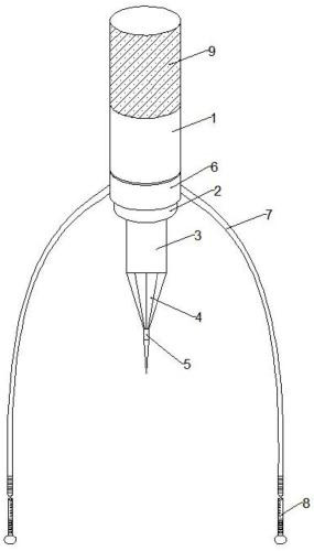 图片39.jpg 图片39.jpg