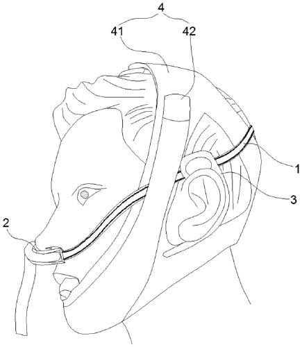 图片27.png 图片27.png