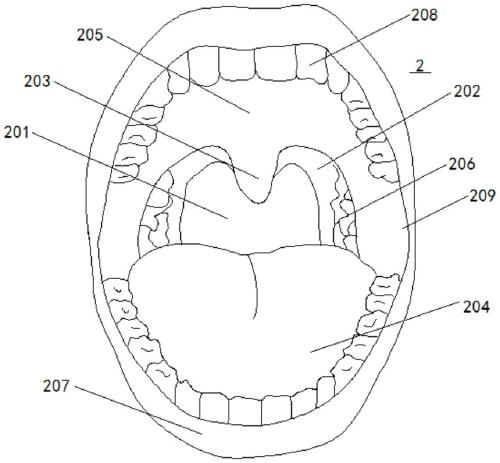 图片61.png 图片61.png