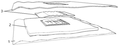 图片4.jpg 图片4.jpg