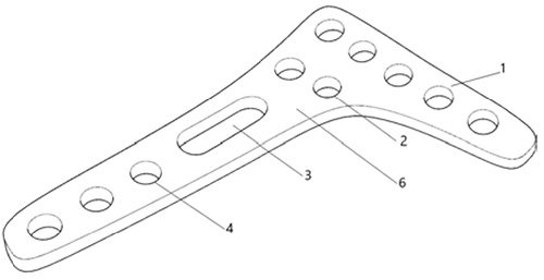 图片10.jpg 图片10.jpg