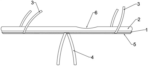 图片18.jpg 图片18.jpg