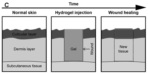 图片8.jpg 图片8.jpg
