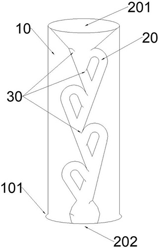 图片30.jpg 图片30.jpg