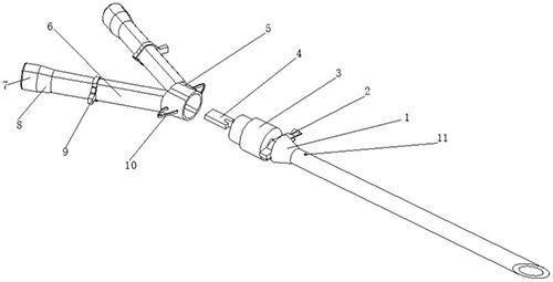 图片7.jpg 图片7.jpg