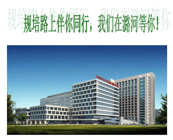 图片-33.jpg 图片-33.jpg